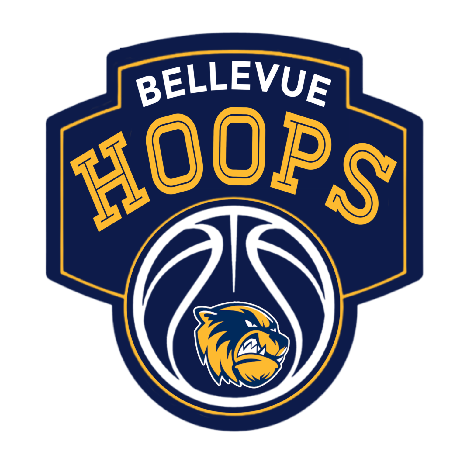 Bellevue Hoops Bellevue HS Boys Feeder Program